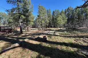 1335 Park Dr, Mormon Lake, AZ 86038 - Photo 23