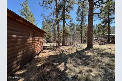 1335 Park Drive, Mormon Lake, AZ 86038 - Photo 19