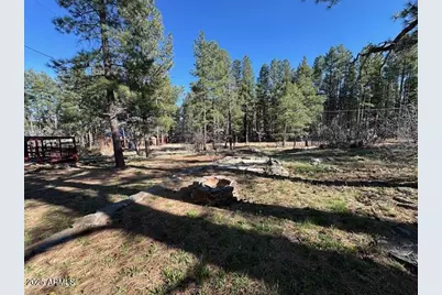 1335 Park Drive, Mormon Lake, AZ 86038 - Photo 21