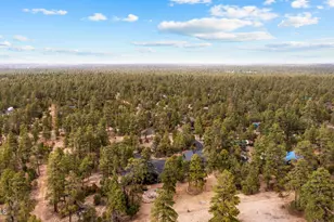 2702 Majestic Elk Rd, Overgaard, AZ 85933 - Photo 81