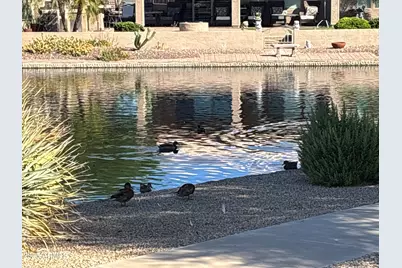 10956 W Cimarron Drive, Sun City, AZ 85373 - Photo 23