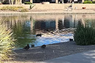 10956 W Cimarron Dr, Sun City, AZ 85373 - Photo 23