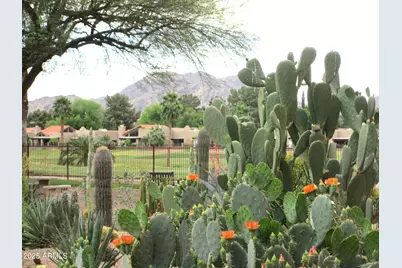 4303 E Cactus Road #413, Phoenix, AZ 85032 - Photo 25