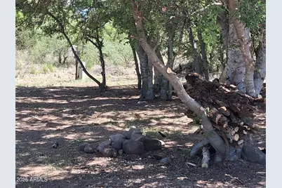 3125 S Verde Lakes Drive #178, Camp Verde, AZ 86322 - Photo 9