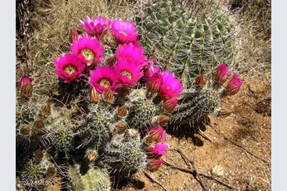 E1 Lot 45 E De Vaca Lot 45 Road #45, Saint David, AZ 85630 - Photo 7