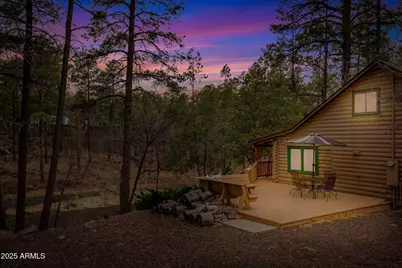 571 W Pine Shadow Drive, Lakeside, AZ 85929 - Photo 3