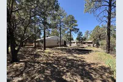 81 N 4th Drive, Show Low, AZ 85901 - Photo 1