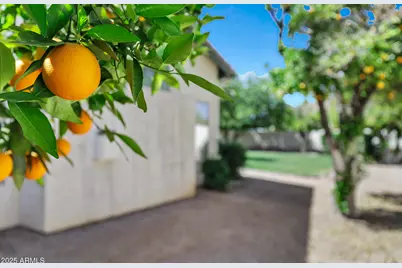 4230 E Fountain Street, Mesa, AZ 85205 - Photo 53