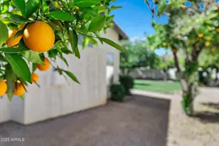 4230 E Fountain St, Mesa, AZ 85205 - Photo 53