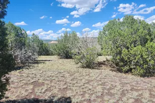467 W Edgewood Dr, Ash Fork, AZ 86320 - Photo 7