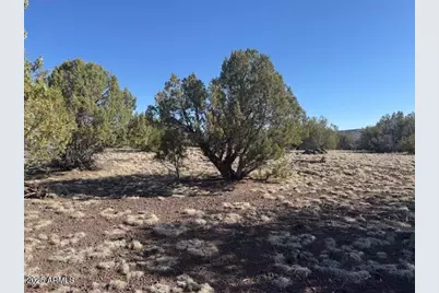 411 W Edgewood Drive, Williams, AZ 86046 - Photo 7
