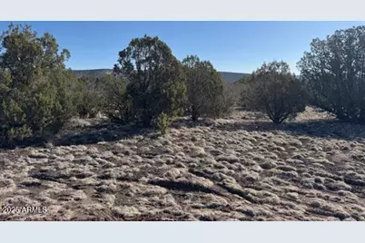 Lot 4 W Edgewood Drive, Williams, AZ 86046 - Photo 11