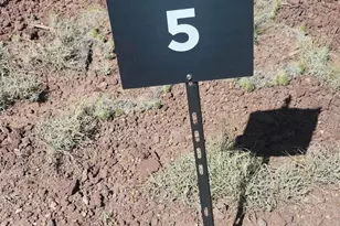Lot 5 W Edgewood Dr, Williams, AZ 86046 - Photo 5