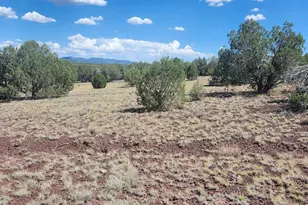 Lot 5 W Edgewood Dr, Williams, AZ 86046 - Photo 7