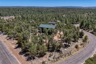2943 E Lookout Ln, Overgaard, AZ 85933 - Photo 43