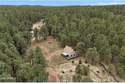 5348 Forest Service 701 Road, Happy Jack, AZ 86024 - Photo 45