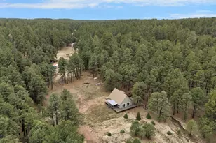 5348 Forest Service 701 Rd, Happy Jack, AZ 86024 - Photo 45