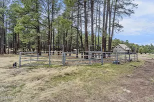 5348 Forest Service 701 Rd, Happy Jack, AZ 86024 - Photo 41