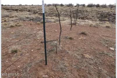 Lot 301 Chevelon Canyon Ranch -- #301, Heber, AZ 85928 - Photo 3