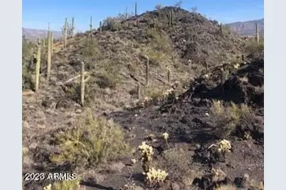 37395 N Sunset Tr-3 Lot Price -- #N, Cave Creek, AZ 85331 - Photo 5