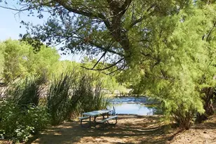 29721 N 140th St, Scottsdale, AZ 85262 - Photo 69