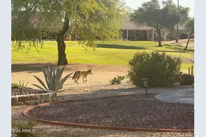 13612 W Robertson Drive, Sun City West, AZ 85375 - Photo 59