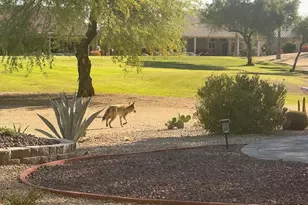 13612 W Robertson Dr, Sun City West, AZ 85375 - Photo 59