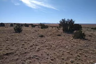 000 N6474 --, Saint Johns, AZ 85936 - Photo 1