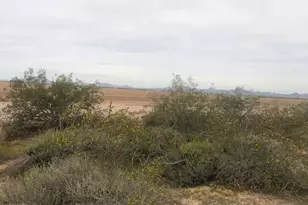 6205 N 379th Ave, Tonopah, AZ 85354 - Photo 1