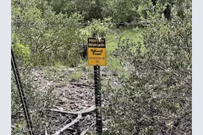 7816 W Forest Service Road #200, Young, AZ 85554 - Photo 47