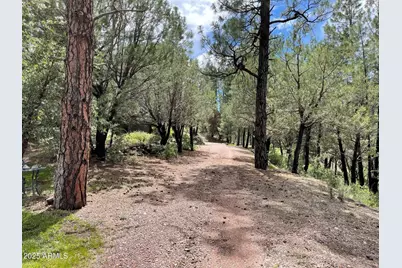 7816 W Forest Service Road #200, Young, AZ 85554 - Photo 43