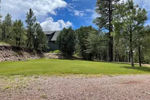 7816 W Forest Service Rd, Young, AZ 85554 - Photo 39