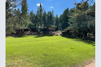 7816 W Forest Service Road #200, Young, AZ 85554 - Photo 41