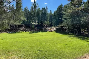 7816 W Forest Service Rd, Young, AZ 85554 - Photo 41