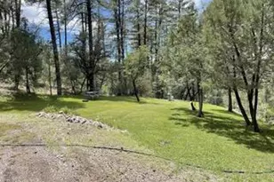 7816 W Forest Service Rd, Young, AZ 85554 - Photo 45