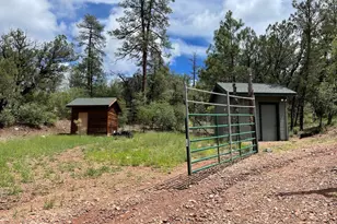 7816 W Forest Service Rd, Young, AZ 85554 - Photo 33