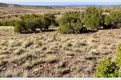 Tbd Co Rd 5062 Lot 1 3.53 Acres -- #-, Concho, AZ 85924 - Photo 13