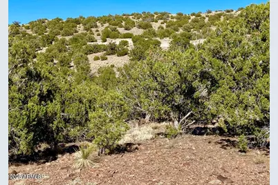 Tbd Co Rd 5062 Lot 1 3.53 Acres -- #-, Concho, AZ 85924 - Photo 3