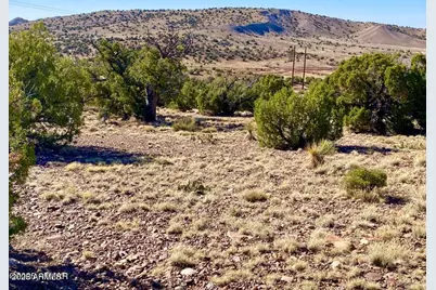 Tbd Co Rd 5062 Lot 1 3.53 Acres -- #-, Concho, AZ 85924 - Photo 5