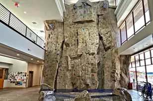 41202 N Rolling Green Way, Anthem, AZ 85086 - Photo 59