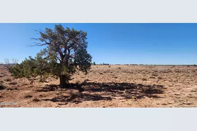 5137 Encanto Road #-, Snowflake, AZ 85937 - Photo 3