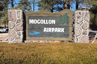 2806 Sky Hawk Dr, Overgaard, AZ 85933 - Photo 3