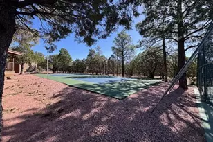 2806 Sky Hawk Dr, Overgaard, AZ 85933 - Photo 61