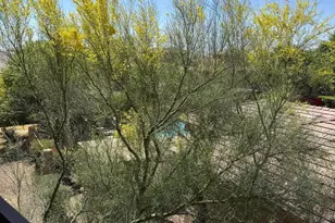 20100 N 78th Pl N, Scottsdale, AZ 85255 - Photo 33