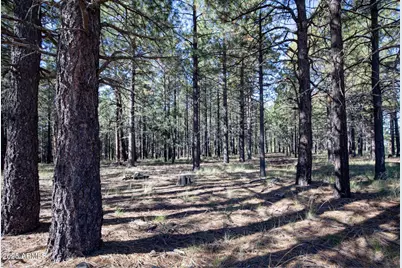 549 Krohn Lane #-, Forest Lakes, AZ 85931 - Photo 3