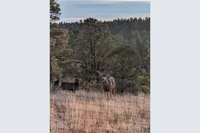 2901 Ridge Circle, Overgaard, AZ 85933 - Photo 37