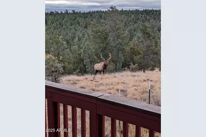 2901 Ridge Circle, Overgaard, AZ 85933 - Photo 11