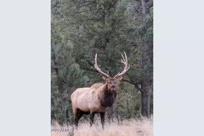 2901 Ridge Circle, Overgaard, AZ 85933 - Photo 31