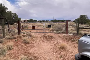 22 County Rd N9151, Concho, AZ 85924 - Photo 7