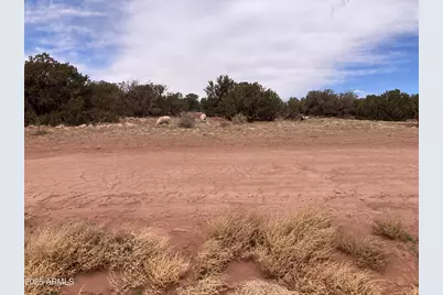 9979 Texas Lane #16, White Mountain Lake, AZ 85912 - Photo 3